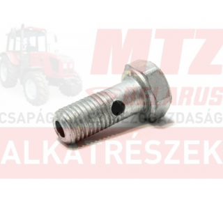 MTZ Áteresztőcsavar porlasztó 10x1x22±3mm