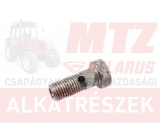 MTZ Áteresztőcsavar porlasztóhoz M8