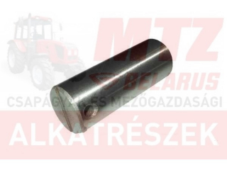 MTZ Bolygókerékcsap 80-as D=20mm