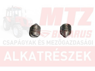 MTZ Csavar hernyó 82-es elsőhíd 011 10x12 45H nat.