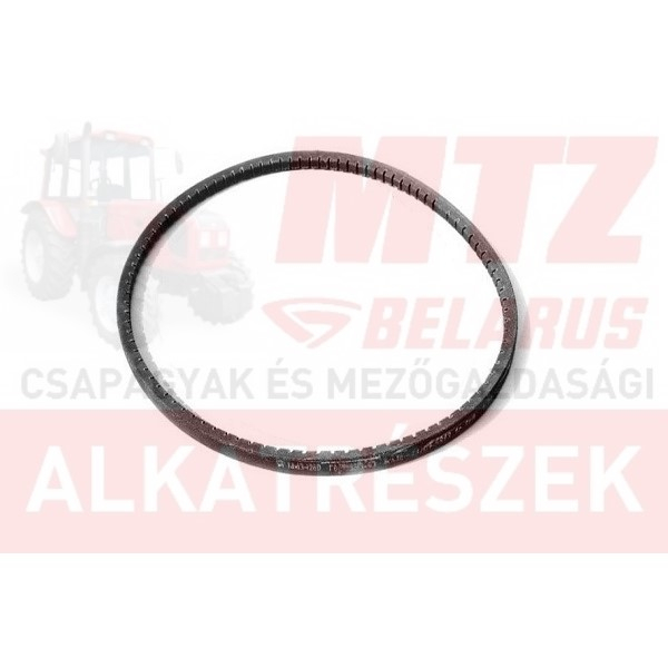 MTZ Ékszíj 16x11x1220 MTZ-50 MTZ-1221