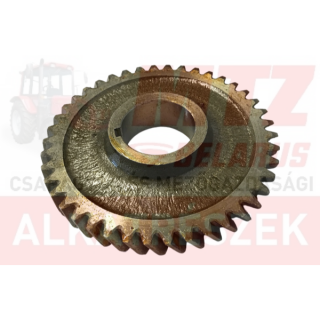 MTZ Fogaskerék 033-01 Z=42 MTZ822 /240-1005033-A-01/ ORIGINAL