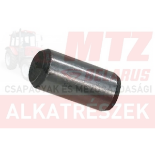 MTZ Stift tehermentesítő főtengely 14x30mm