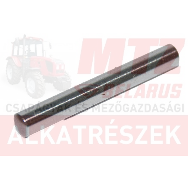 MTZ Tűgörgő /db (65db/garnitúra) /4694164-807/