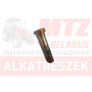 Csavar M10x45 RM 8.8 hg. MTZ