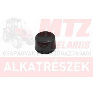 MTZ Oldal ablak zsanér védőkupak