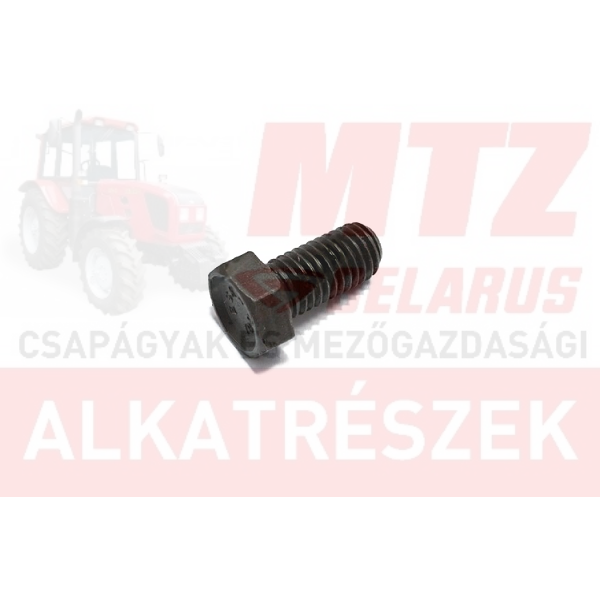 Csavar M12x25 TM.8.8 hg.