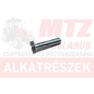 Csavar M10x40 TM.8.8 hg. MTZ