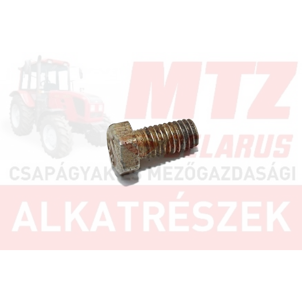 Csavar M8x16 TM. 8.8 hg. MTZ