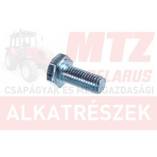 MTZ Csavar M10x25 TM. 8.8 hg. 