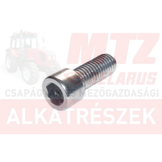 Imbusz csavar belsőkulcsnyílású M10x30 8.8 hg. Porlasztó