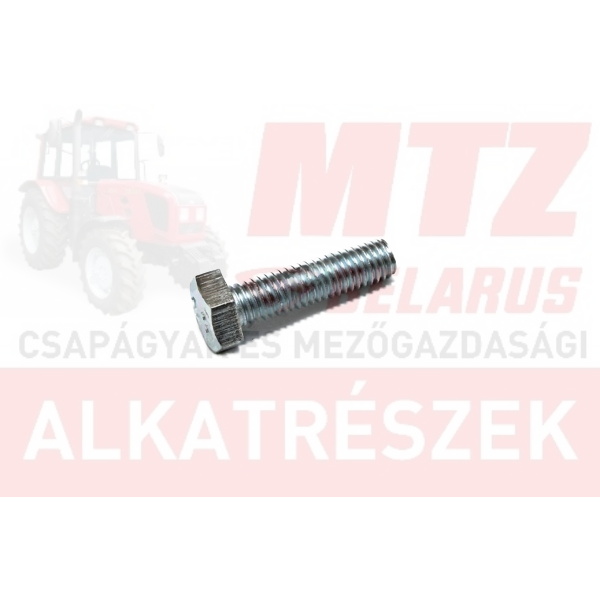 Csavar M8x30 TM. 8.8 hg. MTZ