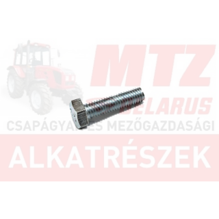 Csavar M8x30 TM. 8.8 hg. MTZ