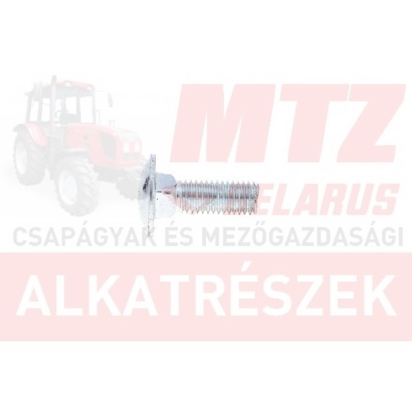 Pzk-7 kapupánt csavar M10x30