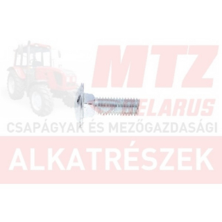 Pzk-7 kapupánt csavar M10x30