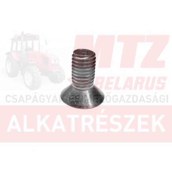 Lengyel fűkasza talpcsavar T2/28 DIN912 M12x25 10.9