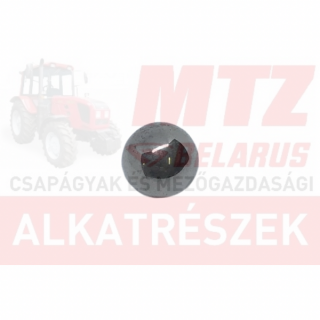 MTZ Féknyomólap golyó D=22,225 /922135/