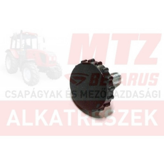 MTZ Csavar panorámás ajtózár M6X25