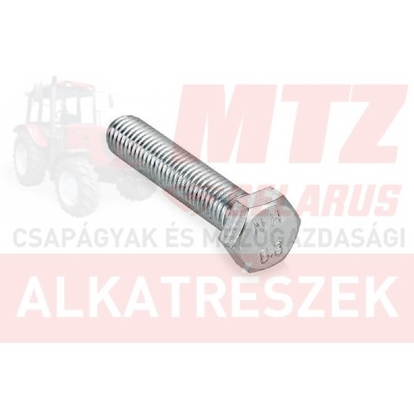 Csavar M10x60 TM.8.8 hg. MTZ