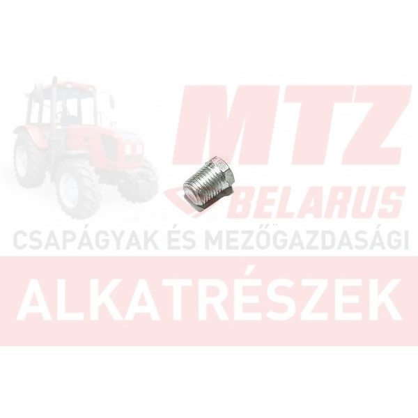 MTZ Olajleeresztőcsavar /reduktor/ /ANALOG PK KG 3/4