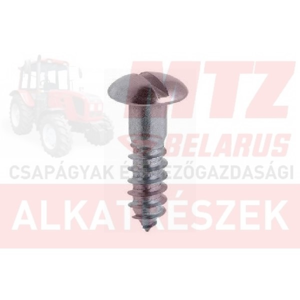 MTZ Kárpitcsavar 4,2x25 hg.