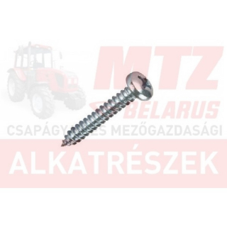 MTZ Kárpitcsavar 4,2x38 hg.