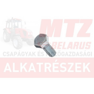 Csavar M10x20 TM. 8.8 hg. MTZ