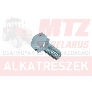 Csavar M6x20 TM.8.8 hg. MTZ