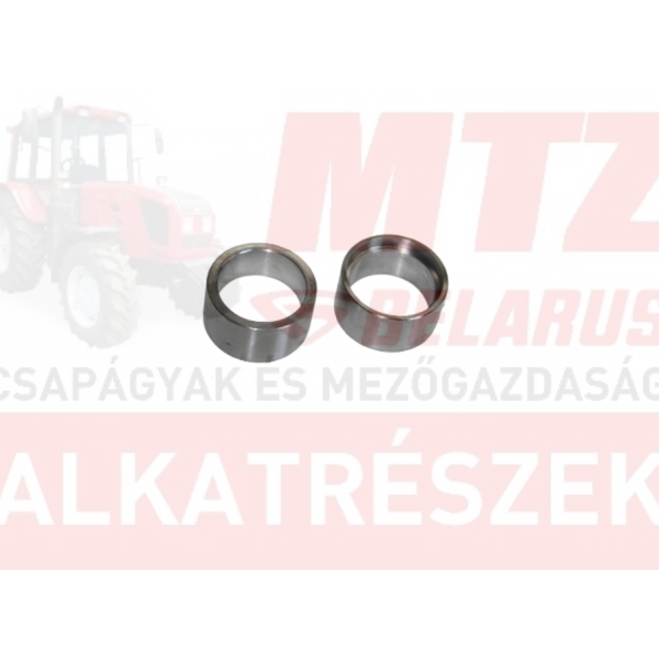 RZ-3-174 persely