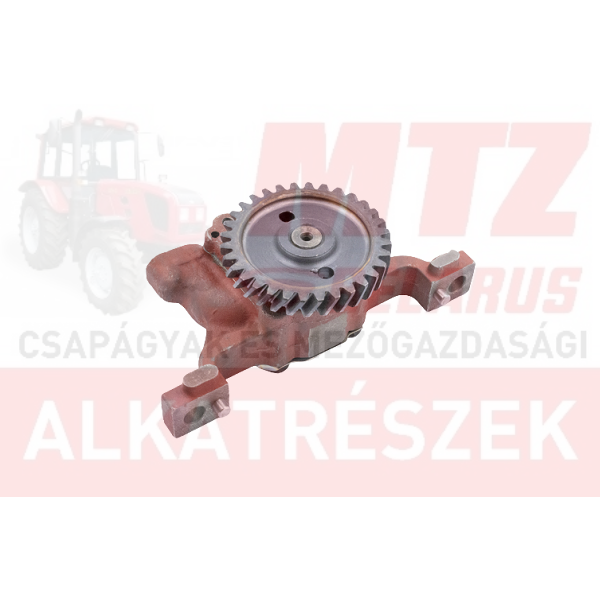 MTZ Motorolajszivattyú 80-as z=36